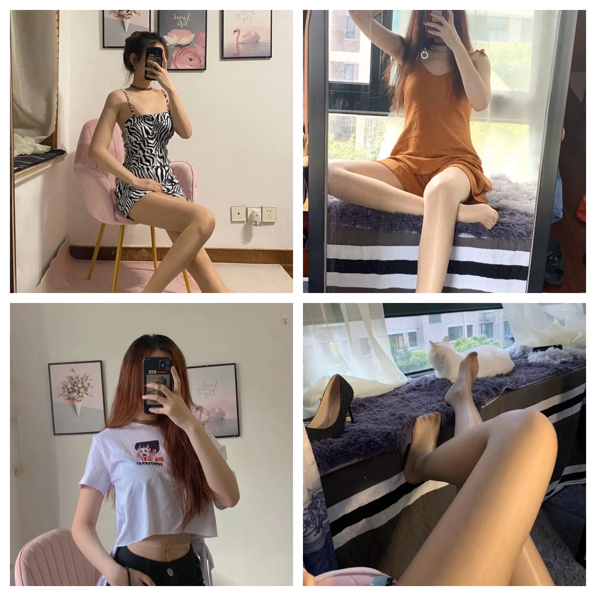 WMQ-TWSN-Cover.jpg